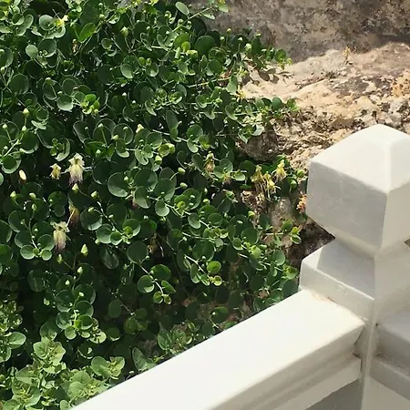 בית נופש Cappari House