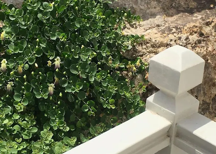 Сasa de vacaciones Cappari House